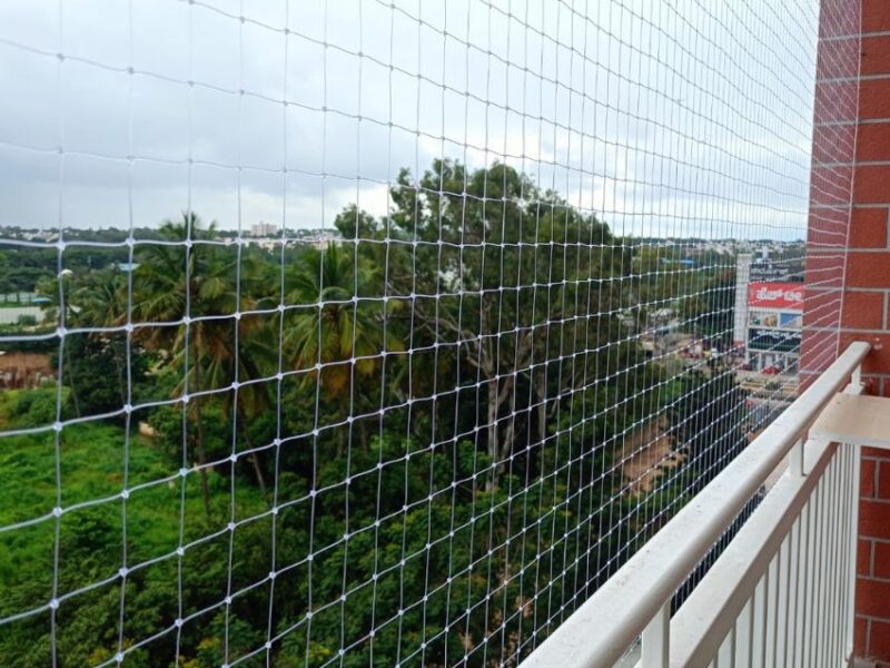 Bird Netting Service Near Me in Mysore